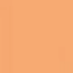 Пігментний концентрат водно-дисперсійний Farbex Color верблюжий 100мл